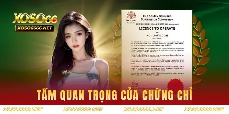 Tầm quan trọng của chứng chỉ