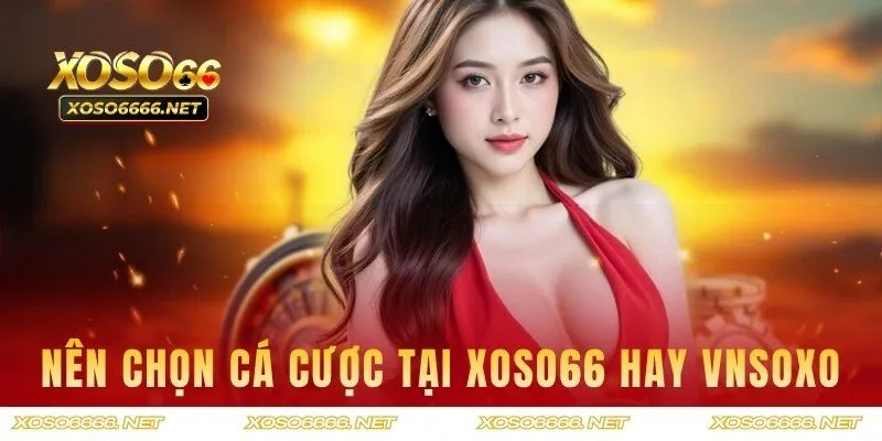 Người chơi nên chọn nhà cái nào để cá cược