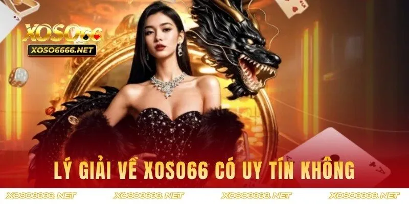 Những phân tích từ chuyên gia về sự uy tín của nhà cái